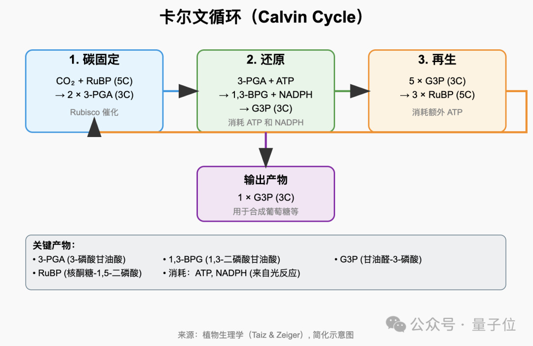 王兴一鸣惊人!美团首个开源大模型追平DeepSeek-V3.1插图14 王兴一鸣惊人!美团首个开源大模型追平DeepSeek-V3.1插图14