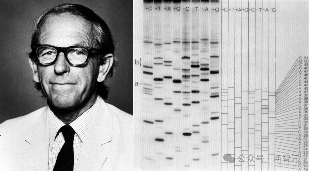全球首个AI基因组诞生,35亿年生命代码重编程!生物学迎「ChatGPT时刻」插图10 全球首个AI基因组诞生,35亿年生命代码重编程!生物学迎「ChatGPT时刻」插图10
