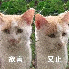 薛定谔亲外孙创业量子计算，老黄早早就成了股东插图11